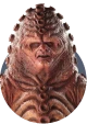 Rhona