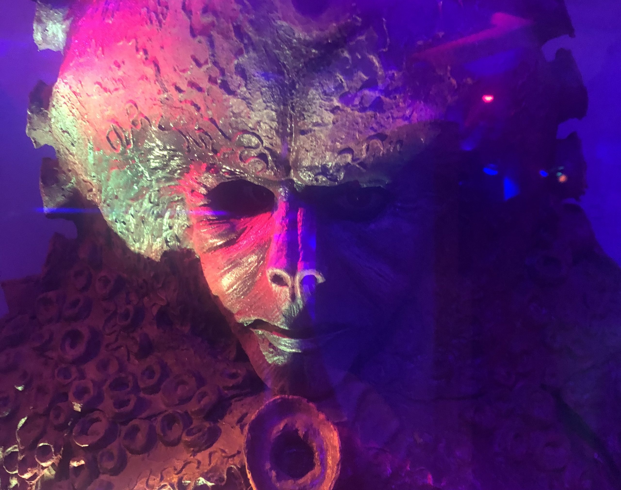 Zygon