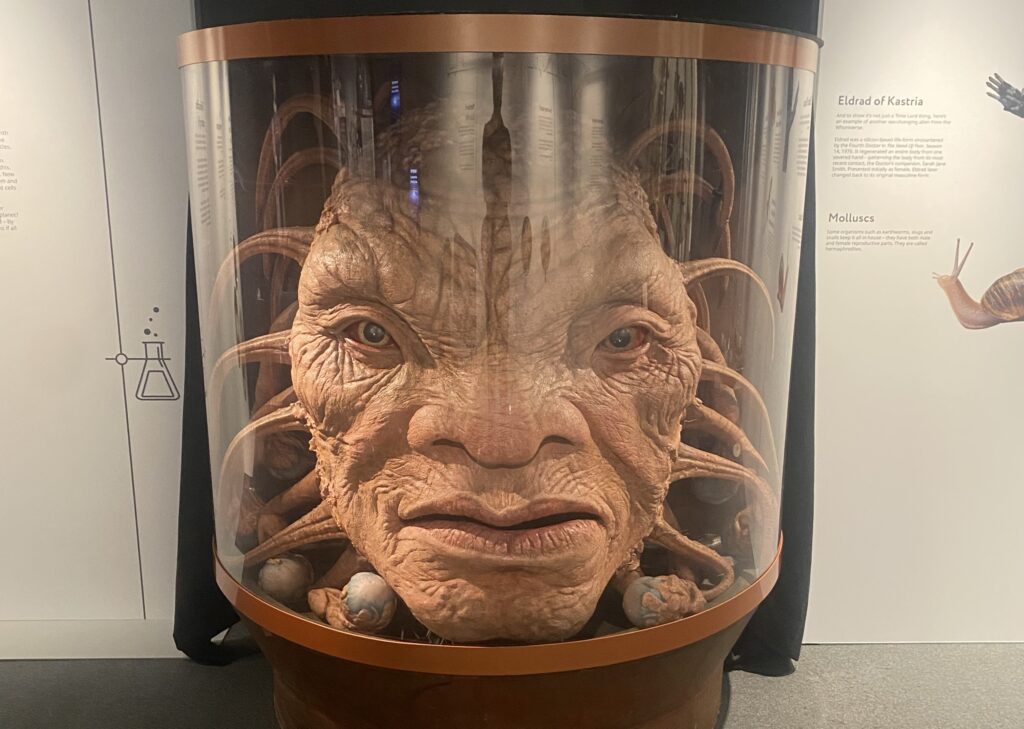 The Face of Boe