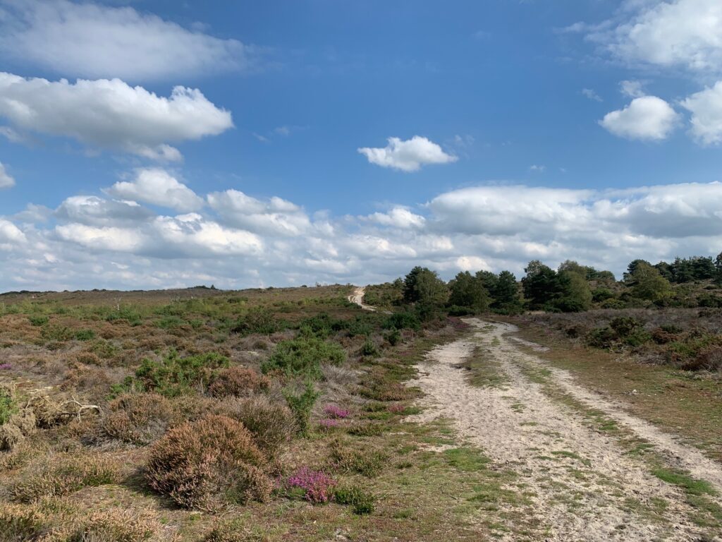 Along this path, looking at the hill that takes you to Frensham Little Pond, there are scenes set in Troy that were filmed for The Myth Makers.