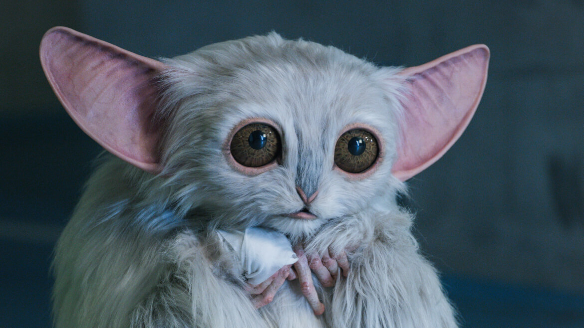 The Meep is discovered in The Star Beast